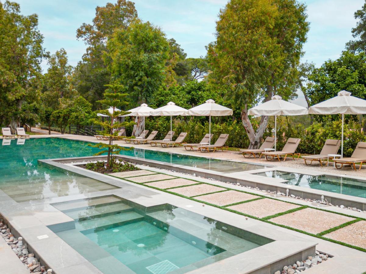 Grecotel Luxme Palms At Riviera Olympia & Aqua Park Лутра-Киллинис Экстерьер фото